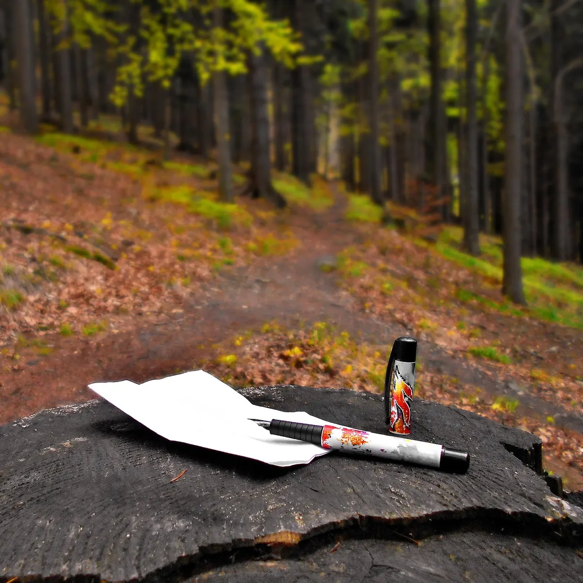 A Seasonal Journaling Checklist for Autumn: 20 Prompts to Reflect and Reset